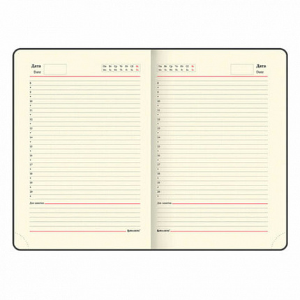 Ручка шариковая PARKER "Jotter Plastic CT", корпус черный, ежедневник А5 черный, золотой срез, пакет, 880894