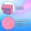 Папка на молнии BRAUBERG А4 с ручкой, с органайзером, 1 отделение, "Paw prints", 273383