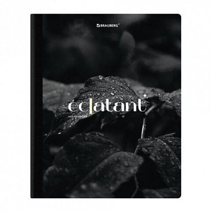 Тетрадь А5 96л. BRAUBERG на сшивке с корешком, клетка, обложка картон, Simplicity, 405288