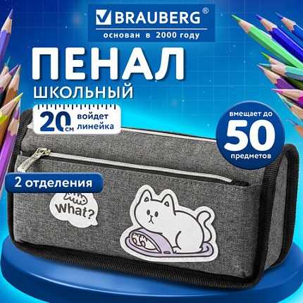 Пенал мягкий BRAUBERG, 2 отделения, полиэстер, "Озорной кот", серый, 21х9х6 см, 274611