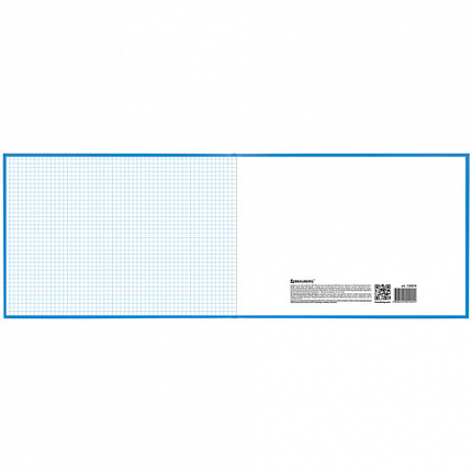 Книга учета 96 л., клетка, твердая, бумвинил, блок офсет, альбомный, А4 (210х295 мм), BRAUBERG, 130074