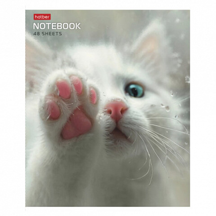 Тетрадь А5 48 л., HATBER скоба, клетка, обложка картон, "Розовые лапки" (микс в спайке), 090370, 48Т5В1