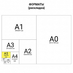 Тетрадь бумвинил А5 48 л. скоба, офсет №1, клетка, с полями, "ЗОЛОТО Metallic", HATBER, 059231, 48Т5бвВ1