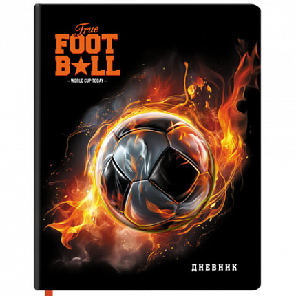 Дневник 1-11 класс 48 л., обложка кожзам (твердая с поролоном), 3D-элемент, BRAUBERG, "Футбол", 107220