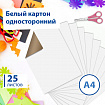 Картон белый А4 МЕЛОВАННЫЙ (белый оборот), 25 листов, BRAUBERG, 210х297 мм, 124021