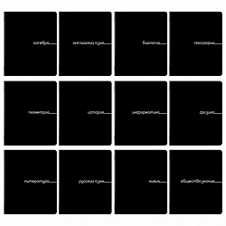 Тетради предметные, КОМПЛЕКТ 12 ПРЕДМЕТОВ, 48 л., обложка картон, BRAUBERG "BLACK", 405164