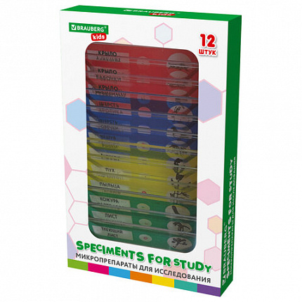 Микроскоп с подсветкой в кейсе, 74 предмета, в т.ч. набор из 16 микропрепаратов в подарок, увеличение 300х,600х,1200х, BRAUBERG KIDS, 391399