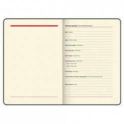 Ежедневник недатированный А5 138х213 мм BRAUBERG "Cayman" под кожу, 160 л., коричневый/коричневый, 125084