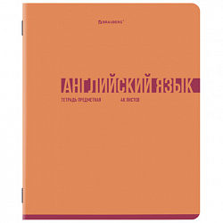 Тетради предметные, КОМПЛЕКТ 12 ПРЕДМЕТОВ, 48 л., обложка картон, BRAUBERG "VIBE", 405163