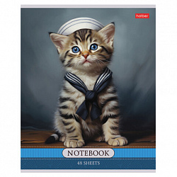 Тетрадь А5 48 л., HATBER скоба, клетка, обложка картон, "Котики-артисты" (микс в спайке), 085664, 48Т5В1
