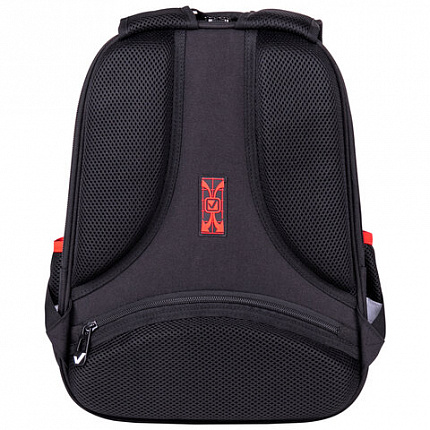 Ранец BRAUBERG FIT, 2 отделения, "Colorful lion", 38х27х14 см, 270618