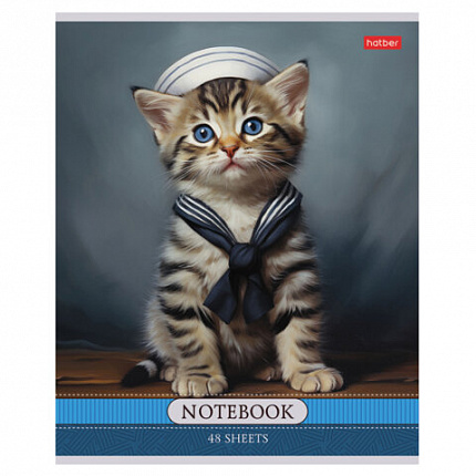 Тетрадь А5 48 л., HATBER скоба, клетка, обложка картон, "Котики-артисты" (микс в спайке), 085664, 48Т5В1