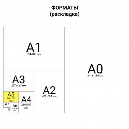 Тетрадь на кольцах А5 160х215 мм, 80 л., пластик, клетка, BRAUBERG, "Оранжевый", 403253