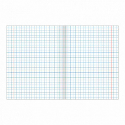 Тетрадь BRAUBERG "EXTRA" 12 л., клетка, плотная бумага 80 г/м2, обложка картон, 105706