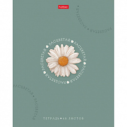 Тетрадь А5, 48 л., HATBER, скоба, клетка, soft-touch ламинация, тиснение, "Нежное очарование" (микс), 095022, 48Т5лтВ1