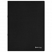 Папка на 2 кольцах А4 BRAUBERG UNIVERSAL, 25 мм, черная, до 170 листов, 0,5 мм, 273031