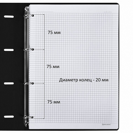 Тетрадь на кольцах БОЛЬШАЯ А4 (240х310 мм), 120 л., под кожу, BRAUBERG VISTA, "Туман", 404515