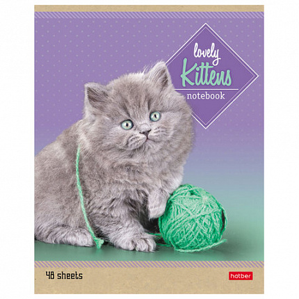 Тетрадь А5, 48 л., HATBER, скоба, линия, обложка картон, "КОТЯТА" (микс в спайке), 047012, 48Т5В2