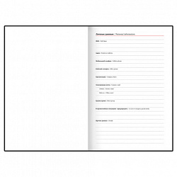 Ежедневник недатированный с резинкой А5 145х203 мм, BRAUBERG, твердый, фольга, 128 л., "Apple", 116294