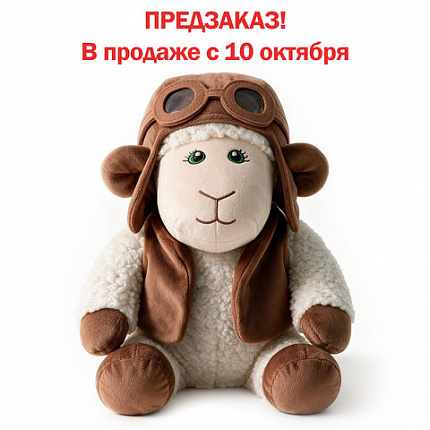 Подарок новогодний ЛЁТЧИК "Мягкая игрушка-символ 2027 года", НАБОР конфет 800 г, WELDAY (ВЭЛДЭЙ), 881404
