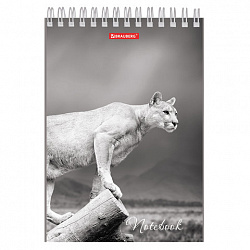 Блокнот А5, 146х205 мм, 60 л., гребень, картон, жесткая подложка, клетка, BRAUBERG, "Животные", 129810