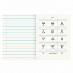 Тетрадь предметная "SPORT CLUB" 48 л., обложка картон, РУССКИЙ ЯЗЫК, линия, подсказ, BRAUBERG, 404803