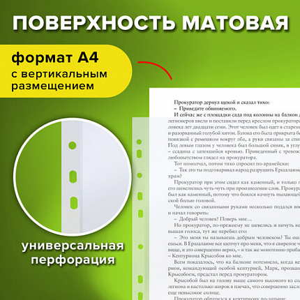 Папки-файлы перфорированные А4 STAFF "ЭКОНОМ", КОМПЛЕКТ 100 шт., матовые, 25 мкм, 226828