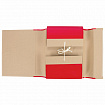 Папка для бумаг архивная А4 (225х310 мм), 80 мм, 4 завязки, крафт, корешок - бумвинил, 123203