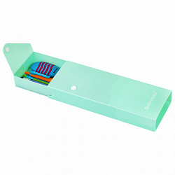 Пенал пластиковый BRAUBERG, 1 отделение, на кнопке, 20x7 см, ассорти, "Pastel", 273770