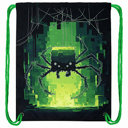 Мешок для обуви BRAUBERG PREMIUM, карман, подкладка, светоотражайка, 43х33 см, "Digital spider", 273444