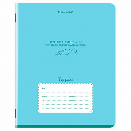 Тетрадь 24 л. BRAUBERG клетка, обложка картон, PHRASES, 107304