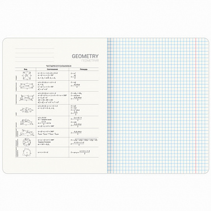 Тетрадь предметная ДАТЫ 48 л., TWIN-лак, ГЕОМЕТРИЯ, клетка, подсказ, BRAUBERG, 405127
