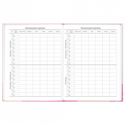 Дневник 5-11 класс 48 л., твердый, BRAUBERG, глянцевая ламинация, с подсказом, "Летний", 106631