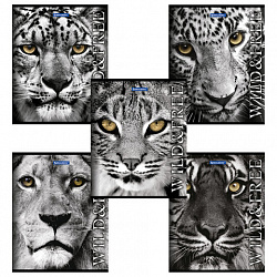 Тетрадь А5, 48 л., BRAUBERG скоба, клетка, обложка картон, ДИКИЕ И СВОБОДНЫЕ, 401810