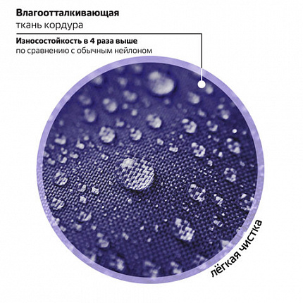 Ранец BRAUBERG PREMIUM, 2 отделения, с брелоком, "Anime cat", 38х29х16 см, 272017