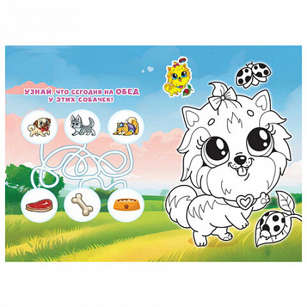 Раскраска с заданиями "Для мальчиков и девочек" с цветным фоном, А5, 16 стр., 16,2х23,4 см, АССОРТИ, ЛиС