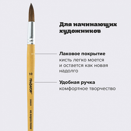 Кисть ПИФАГОР, ПОНИ, круглая, № 10, деревянная лакированная ручка, колпачок, пакет с подвесом, 200839