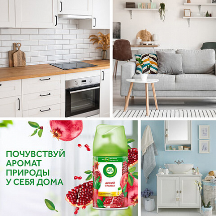 Сменный баллон 250 мл, AIRWICK "Дикий гранат", для автоматических освежителей, универсальный