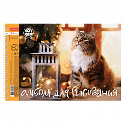 Альбом для рисования А4 24 л., спираль, обложка картон, HATBER, 198х300 мм, "Кот Борис" (5 видов), 079771, 24А4Всп