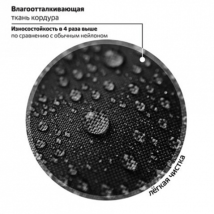 Рюкзак BRAUBERG MOTION, 2 отделения, 3 кармана, "Капибара", СВЕТЯЩИЙСЯ, 41х28х17 см, 272032