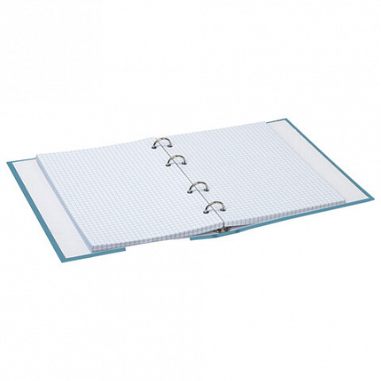 Тетрадь на кольцах А5 (165х215 мм), 120 листов, твердый картон, клетка, BRAUBERG, Щеглы, 404079