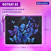 Папка для тетрадей BRAUBERG А5, 1 отделение, полиэстер, на молнии, с ручкой, "Fly Aways", 271499