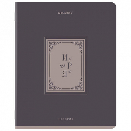 Тетради предметные, КОМПЛЕКТ 12 ПРЕДМЕТОВ, 48л, рельефный картон, BRAUBERG, ВИНТАЖ, 405603