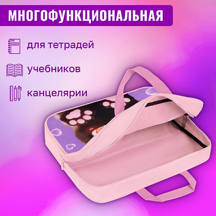 Папка на молнии с ручками BRAUBERG А4, 1 отделение, полиэстер, 80 мм, "Paw prints", 273300