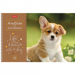 Альбом для рисования А4 40 л., спираль, обложка картон, HATBER, 205х290 мм, "Doggie-Щенки" (4 вида), 067478, 40А4Всп