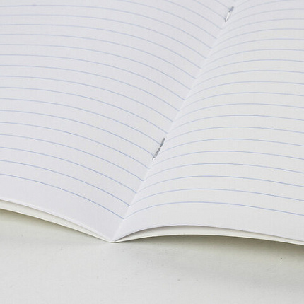 Тетрадь обложка пластик (прозрачный) 24 л., линия, BRAUBERG "Smart Cover", ЗЕЛЕНАЯ, 405035