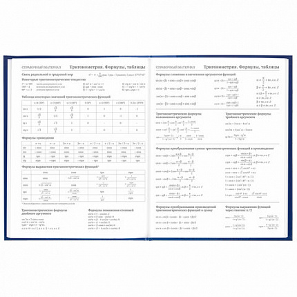 Дневник 5-11 класс 48 л., твердый, BRAUBERG, глянцевая ламинация, с подсказом, "Символика", 106878