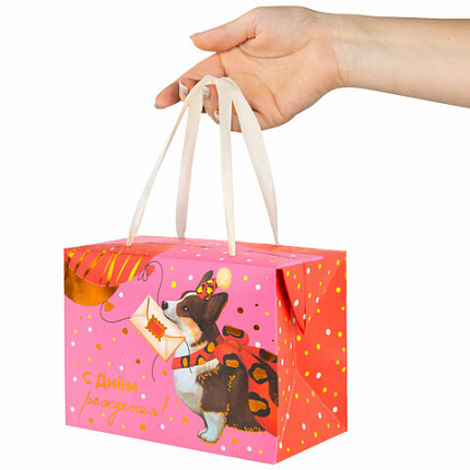 Пакет-коробка подарочный (1 штука) ассорти "Яркий"/ "Королевский Корги", 15х9х11 см, тиснение фольгой, ламинация, 90069, 90073, 90069