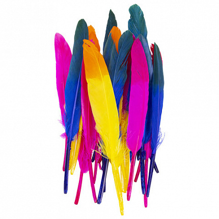 Перья декоративные прямые, 10-15 см, 24 шт., 6 цветов, двухцветные, ассорти, ОСТРОВ СОКРОВИЩ, 661381