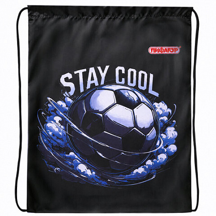 Мешок для обуви ПИФАГОР, 1 отделение, 42х34 см, "Stay cool", 274632